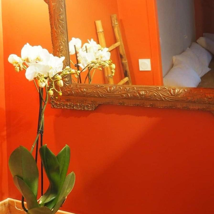 Bed and Breakfast La Terrasse Vigneronne Fitou Exterior foto